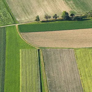 Dal 13 giugno in vigore il regolamento di attuazione del Made Green in Italy
