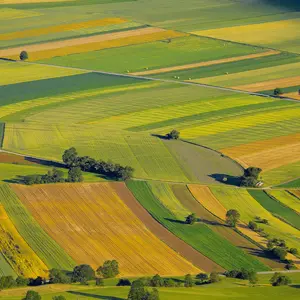 Presentato il terzo rapporto sulla bioeconomia. Italia seconda in Europa