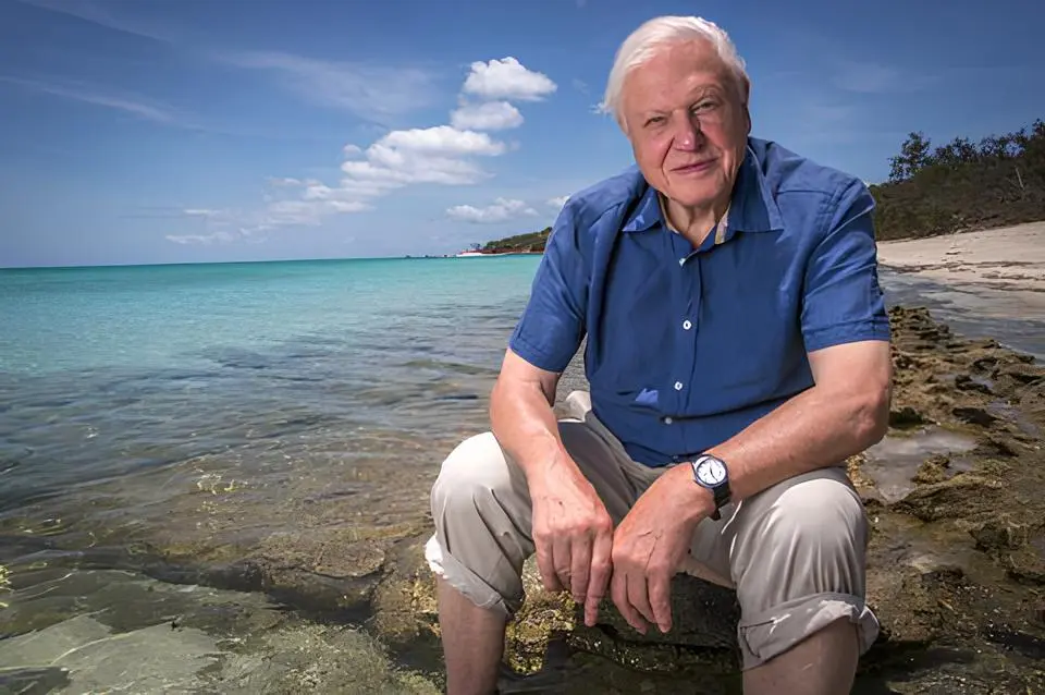David Attenborough compie 100 anni, con lui la natura è diventata pop