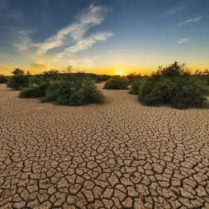 Cambiamento climatico il driver principale della perdita di suolo nel mondo