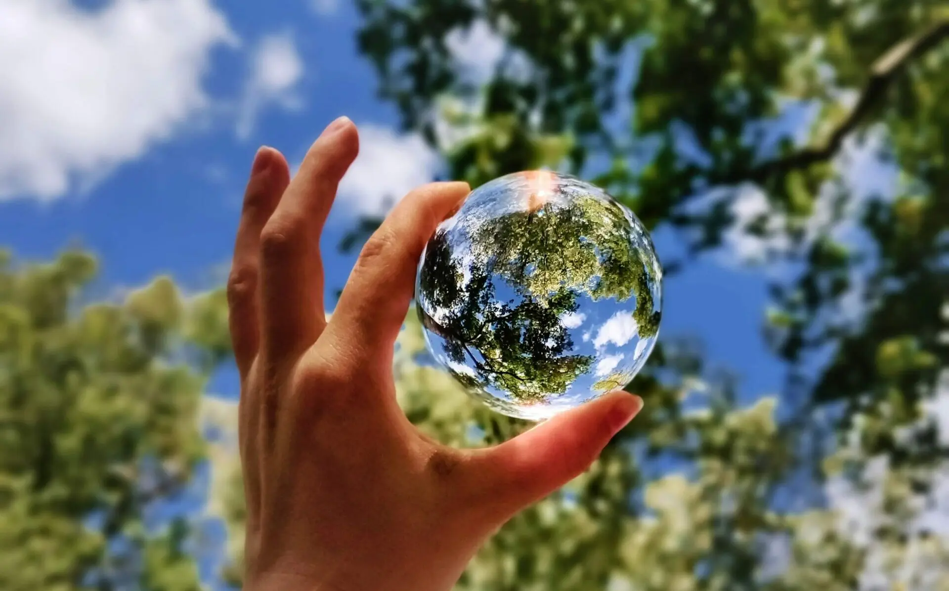 Giornata della Terra: Onu, investire nel nostro pianeta
