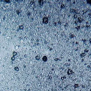 Stop alle microplastiche nei cosmetici e ai cotton fioc non biodegradabili: due misure per la prevenzione del marine litter.