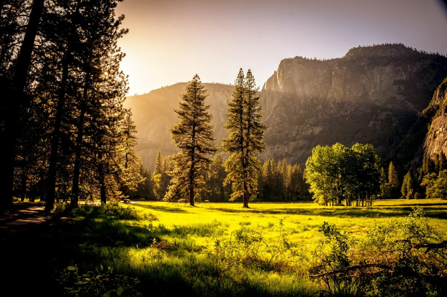 L’Italia adotta la Strategia Forestale Nazionale a tutela della biodiversità