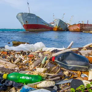 Plastica monouso: un altro sì alla direttiva che ora va al Parlamento UE